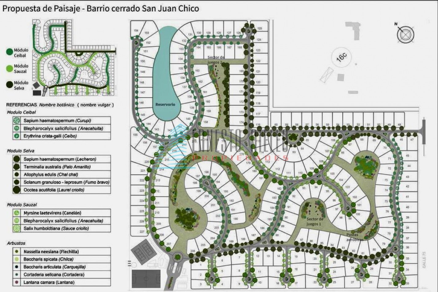 A.VENTA Lote en San Juan Chico - Central