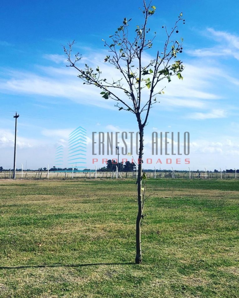 A. VENTA LOTE en HARAS DEL SUR 3 