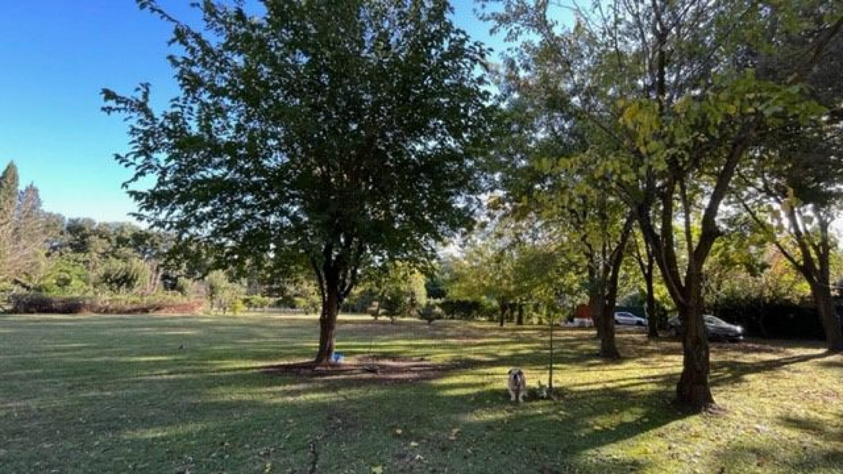 VENTA HERMOSA QUINTA DE 3 HECTAREAS CON AÑEJA ARBOLADA, PILETA Y PARRILLA.