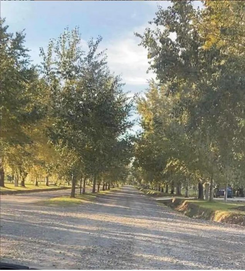 VENTA TERRENO DE 1000MTS2 EN ECOBARRIO EL RETIRO (LA PLATA, BUENOS AIRES)
